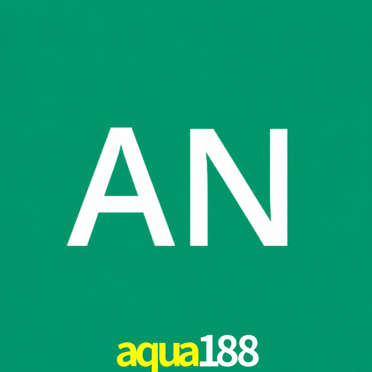 Adi Nugroho - Founder & CEO aqua188 Indonesia